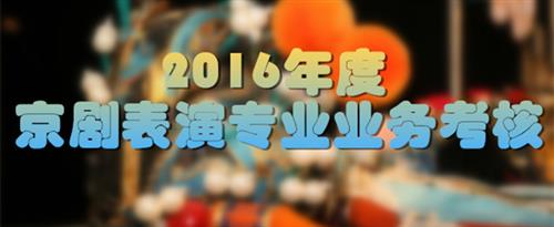 www.caosaobi国家京剧院2016年度京剧表演专业业务考...